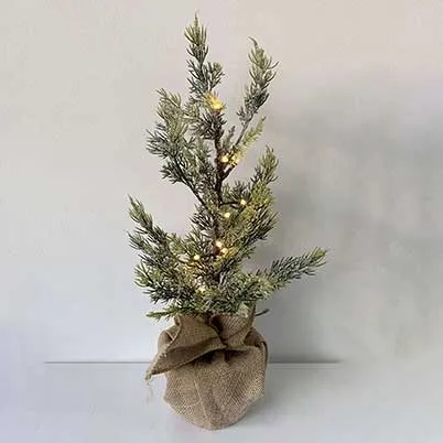 small christmas tree with burlap base