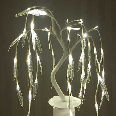 lighted willow branches
