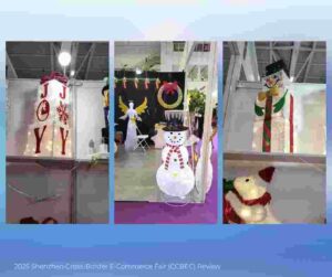 2025 Shenzhen Cross-Border E-Commerce Fair (CCBEC) Review 2