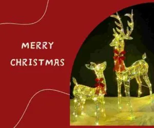 Christmas Decorative Lights 3