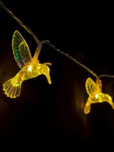 Colorful bird string lights