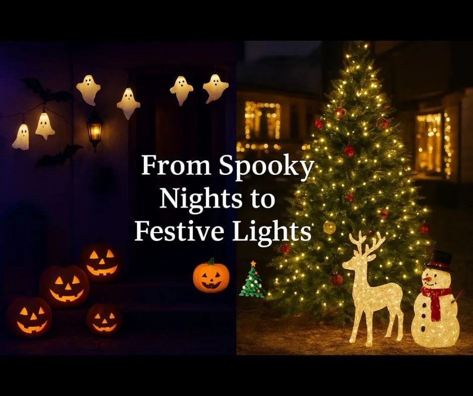 From Spooky Nights to Festive Lights