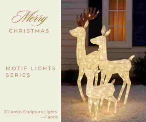 Christmas Lights 3