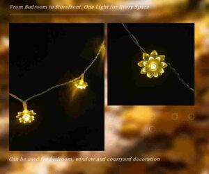 Multi-Scene Lighting Trends 2