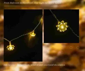 Multi-Scene Lighting Trends 2