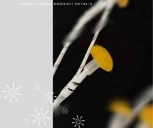 Observe from product details 3