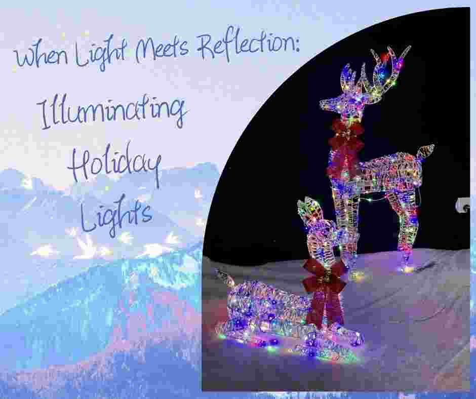 PET material holiday lights 2