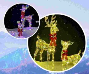 PET material holiday lights 3