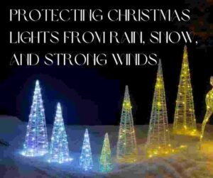 Protecting Christmas Lights 1