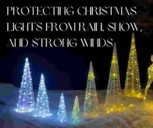 Protecting Christmas Lights 1
