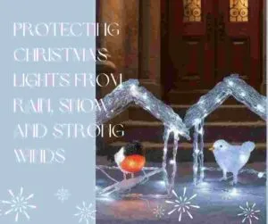 Protecting Christmas Lights 2