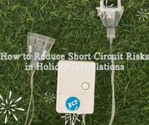 ChristmasL ightSafety1