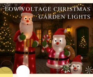 landscape Christmas lights1