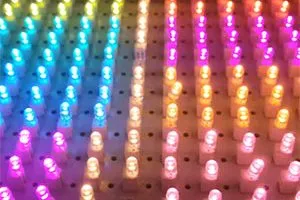 MINI-LEDS